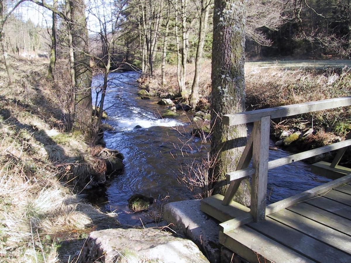 Ferienwohnung Kuckuck Auf Dem Sommerberg Incl Schwarzwaldcard Plus - 2 Zimmer 50Qm Bad Wildbad Esterno foto