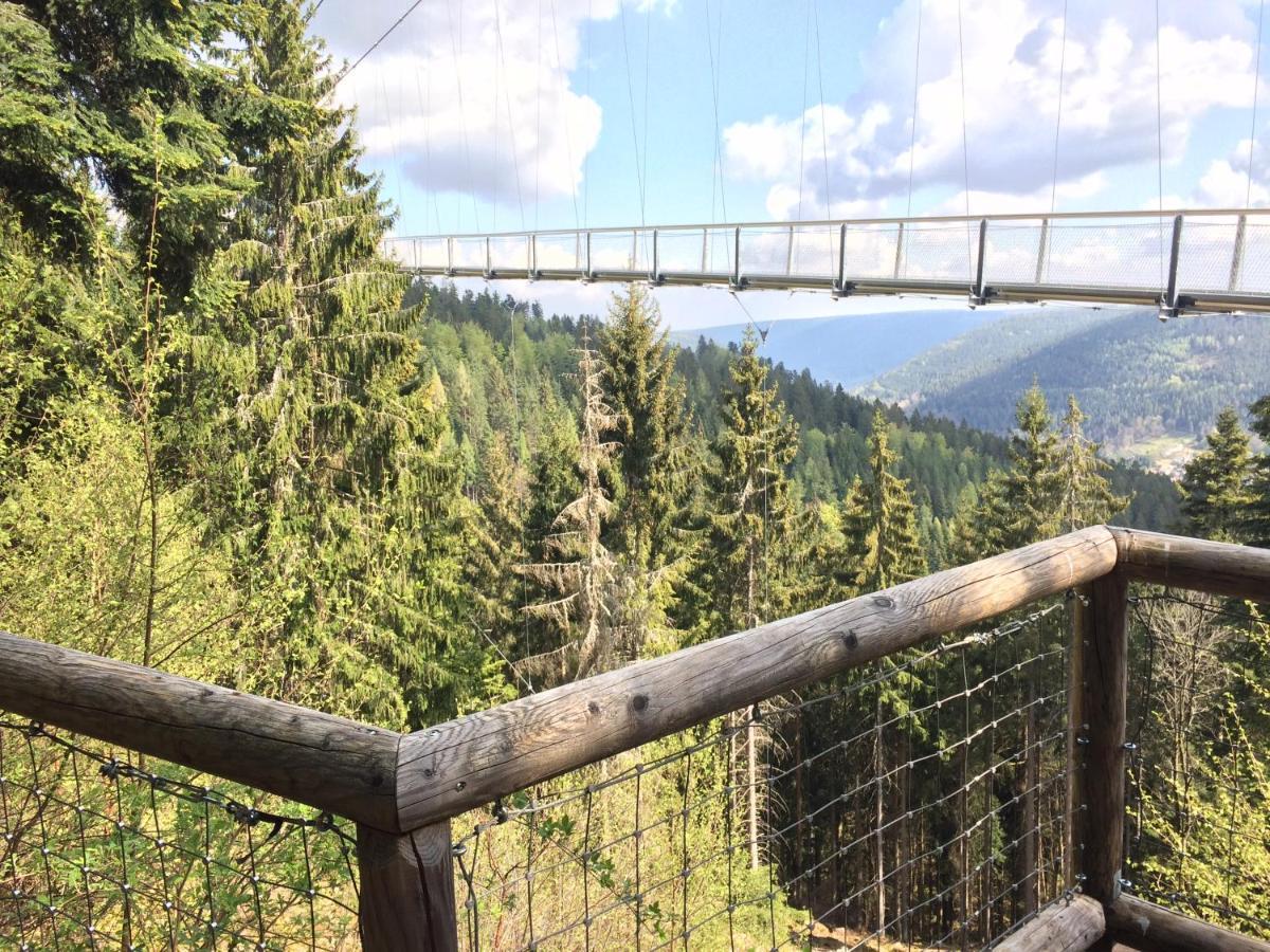 Ferienwohnung Kuckuck Auf Dem Sommerberg Incl Schwarzwaldcard Plus - 2 Zimmer 50Qm Bad Wildbad Esterno foto