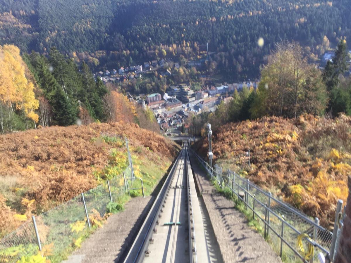 Ferienwohnung Kuckuck Auf Dem Sommerberg Incl Schwarzwaldcard Plus - 2 Zimmer 50Qm Bad Wildbad Esterno foto