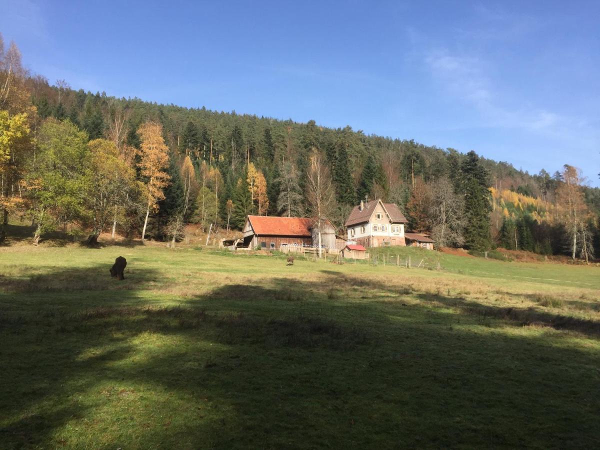 Ferienwohnung Kuckuck Auf Dem Sommerberg Incl Schwarzwaldcard Plus - 2 Zimmer 50Qm Bad Wildbad Esterno foto